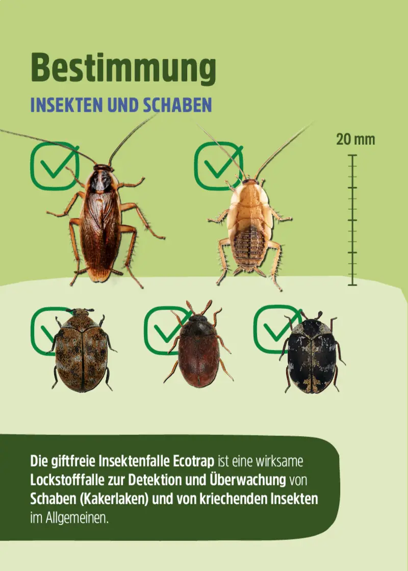 Insektenfalle | Schabenfalle | Kakerlakenfalle | 10 Stück Insektenfalle | Schabenfalle | Kakerlakenfalle | 10 Stück