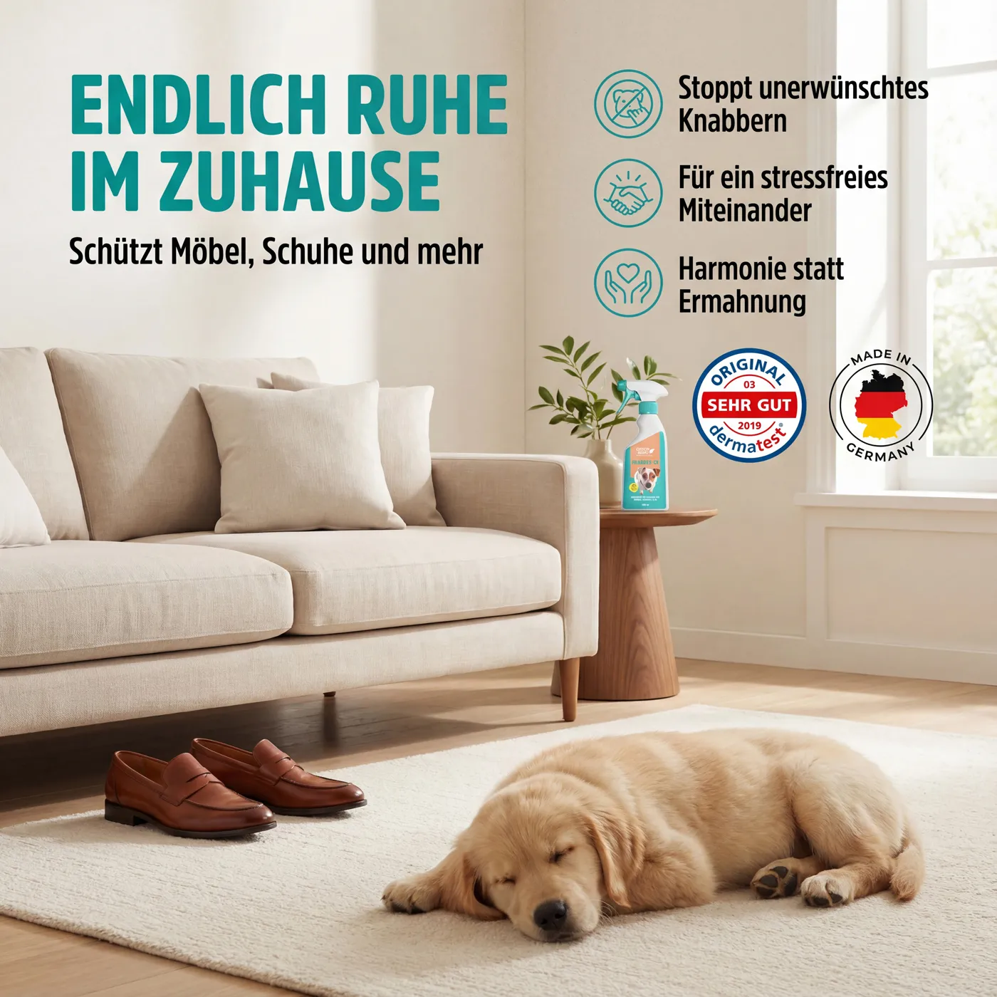 Knabber-Ex um Kauen und Knabbern abzutrainieren Knabber-Ex um Kauen und Knabbern abzutrainieren