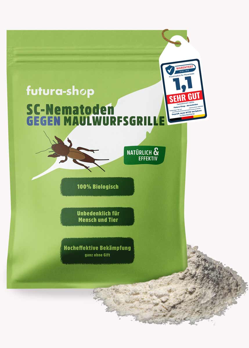 SC Nematoden gegen Maulwurfsgrille