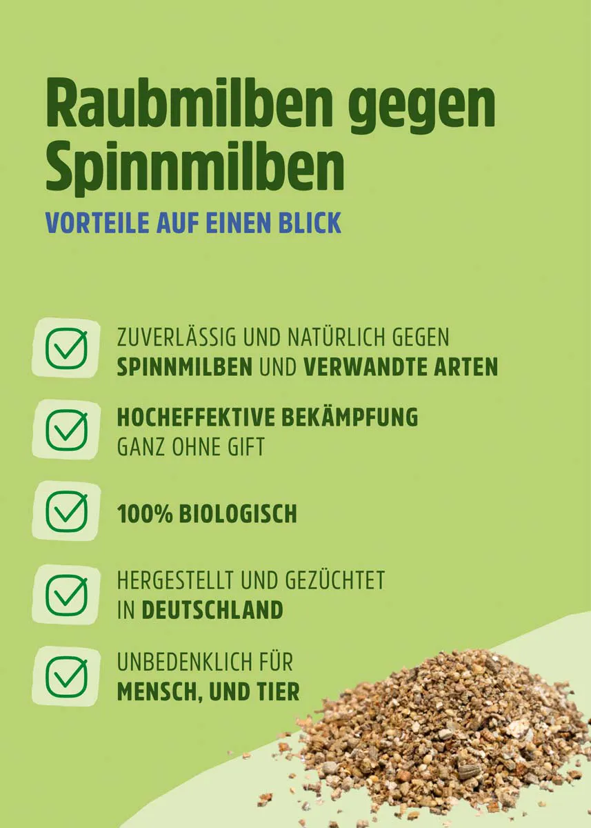 Raubmilben | Nützlinge gegen Spinnmilben Raubmilben | Nützlinge gegen Spinnmilben