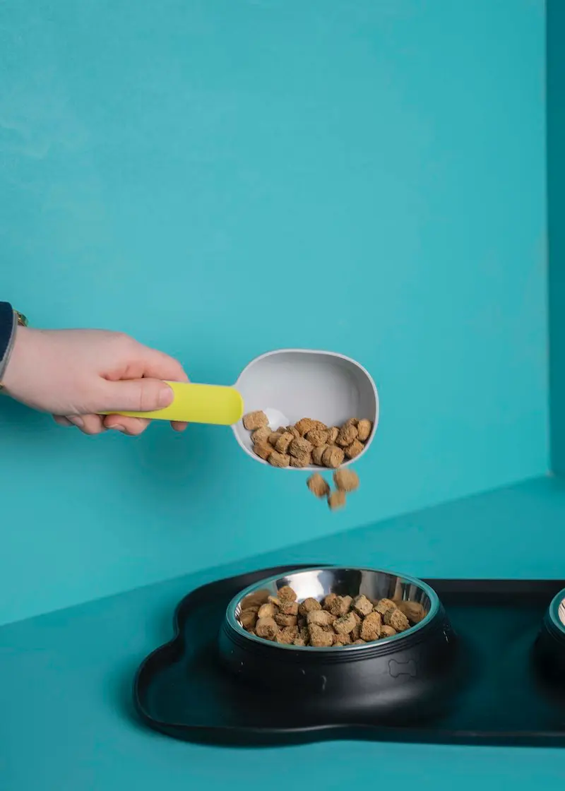 Futternapf-Trinknapf_02 Futter- und Trinknapf mit Silikonmatte