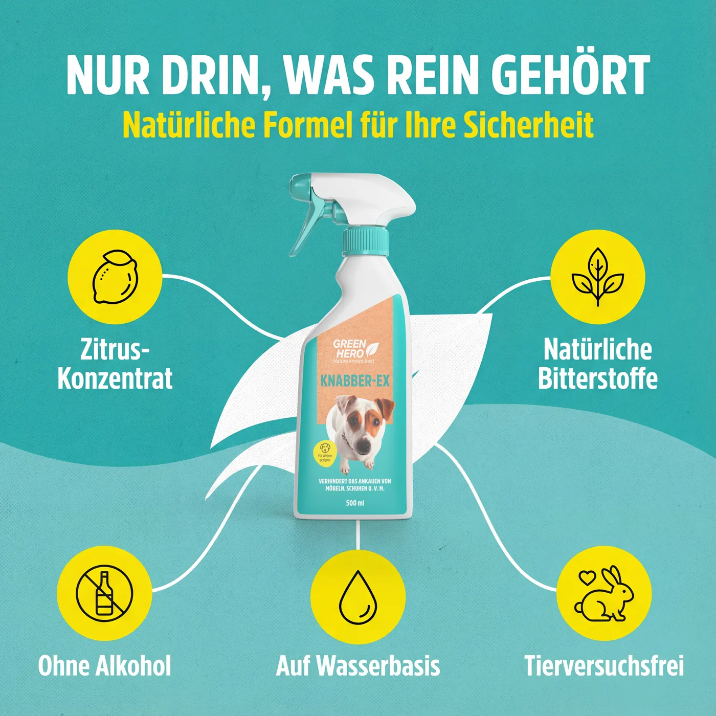 Knabber-Ex um Kauen und Knabbern abzutrainieren Knabber-Ex um Kauen und Knabbern abzutrainieren