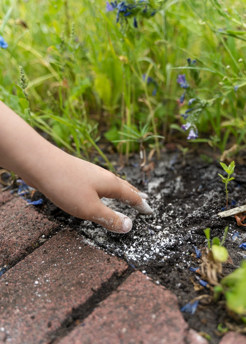 DSC00432_Edit Algenkalk | natürliches Düngemittel