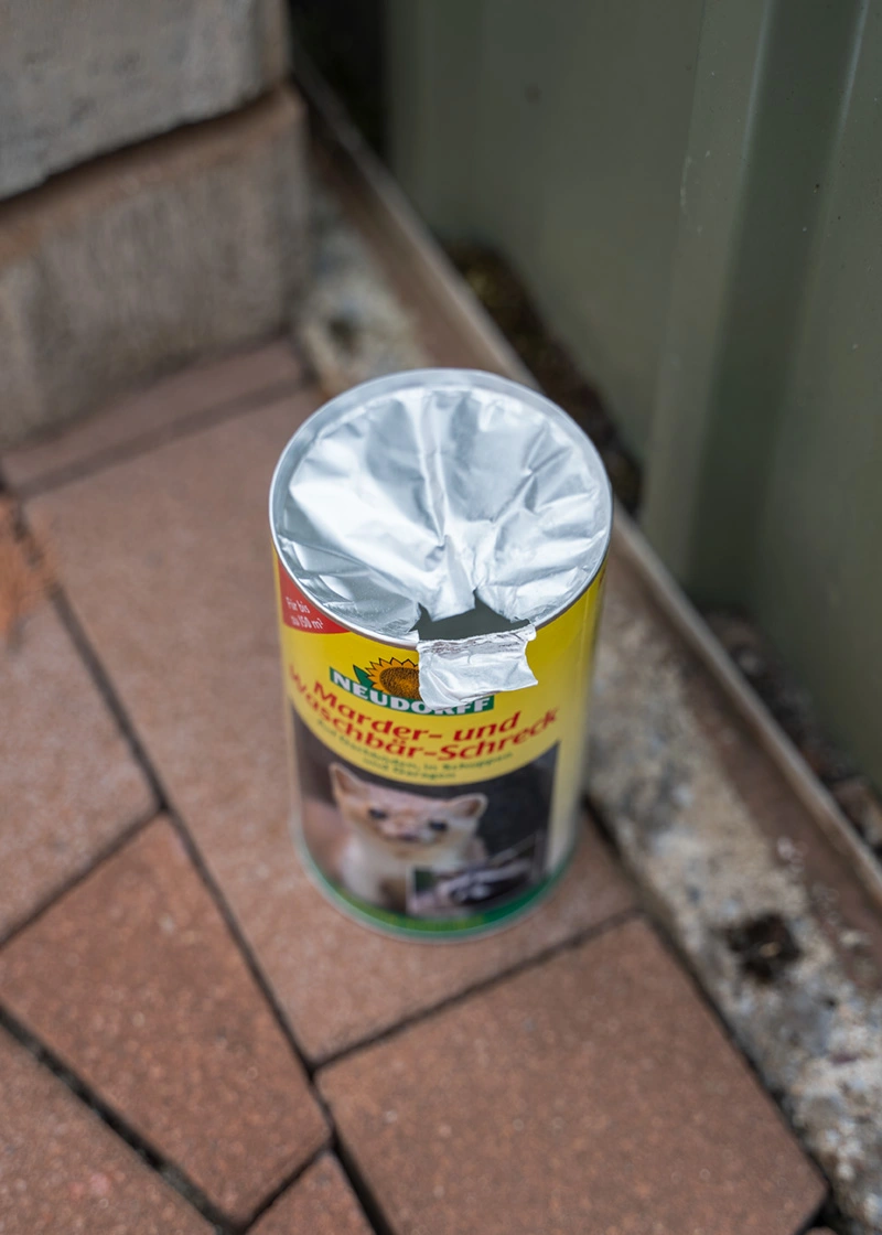 DSC06784_Edit Marder- und Waschbär-Schreck