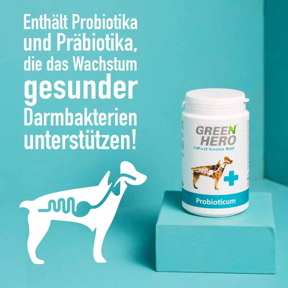 04_Green-Hero_Probioticum_Benefits-jpgfsJfjNGziv1hf GreenHero® Probioticum für Hunde 120 Tabletten zur Darmsanierung und Darmpflege