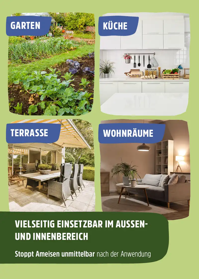 Ameisenspray | Ameisen Ex mit Langzeitwirkung Ameisenspray | Ameisen Ex mit Langzeitwirkung