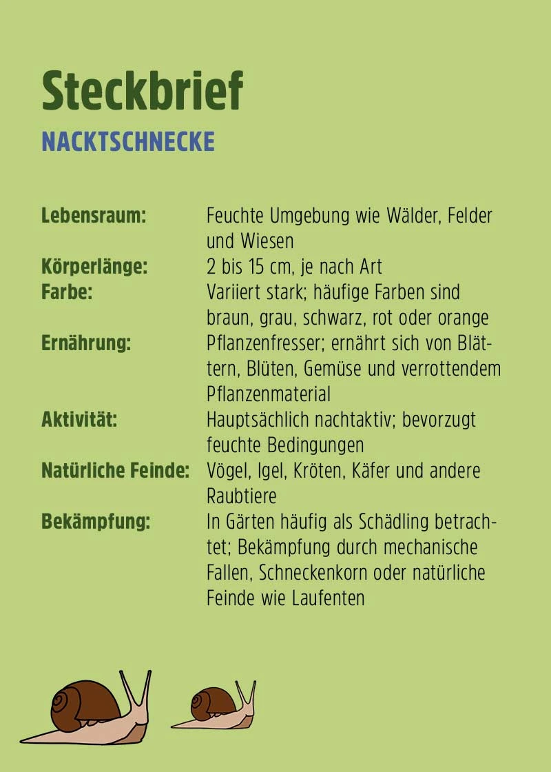 Schneckenfalle | 10 Stück Schneckenfalle | 10 Stück