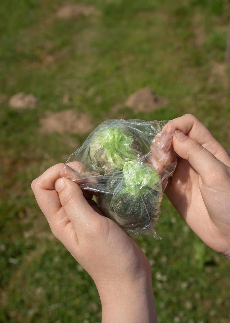 05_DSC06554 Maulwurfschreck