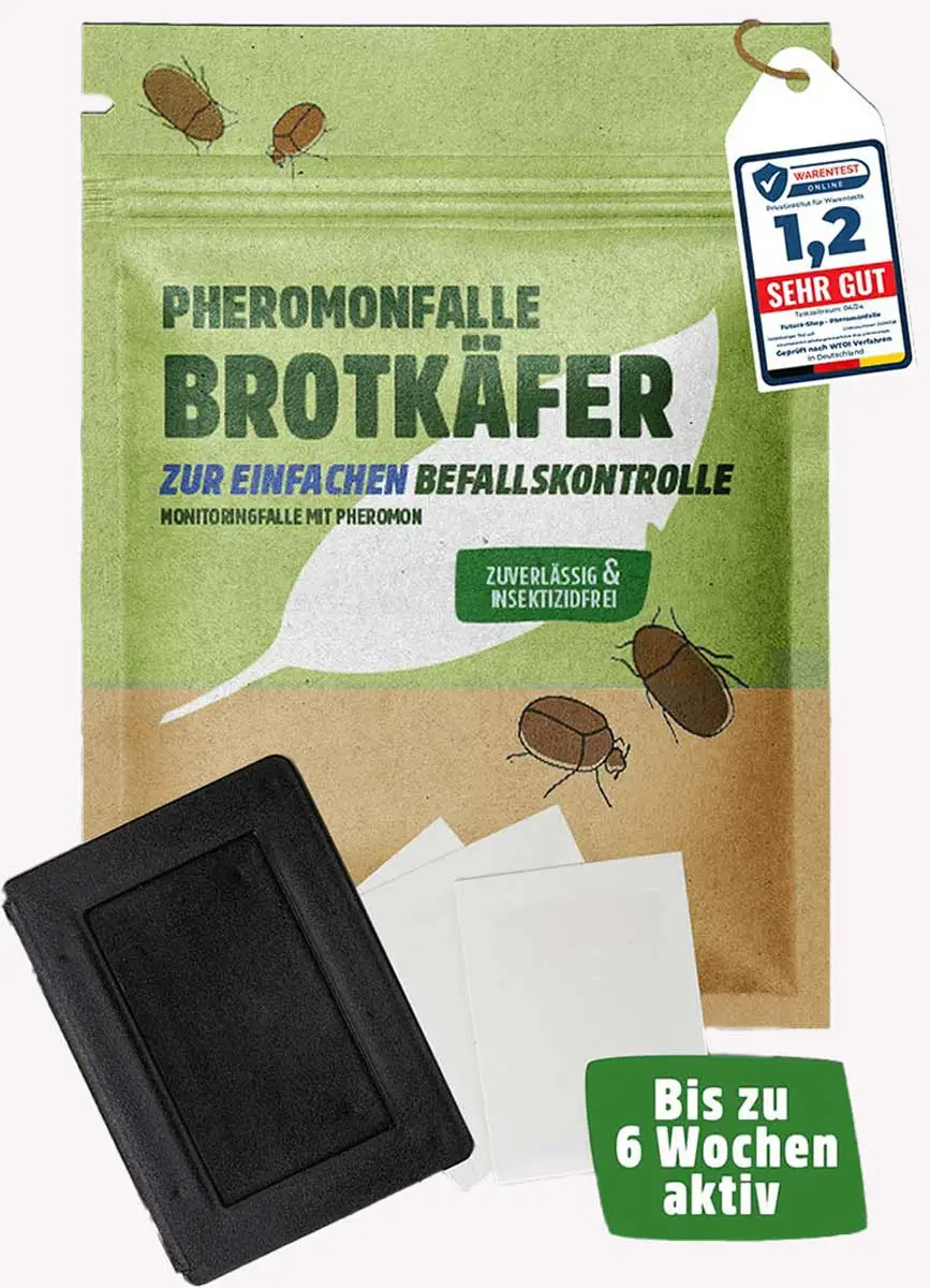 Brotkäfer Pheromonfalle