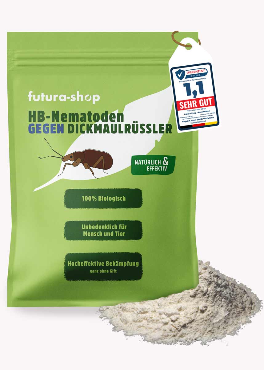 HB Nematoden gegen Dickmaulrüssler - 10 Mio. HB Nematoden gegen Dickmaulrüssler - 10 Mio.