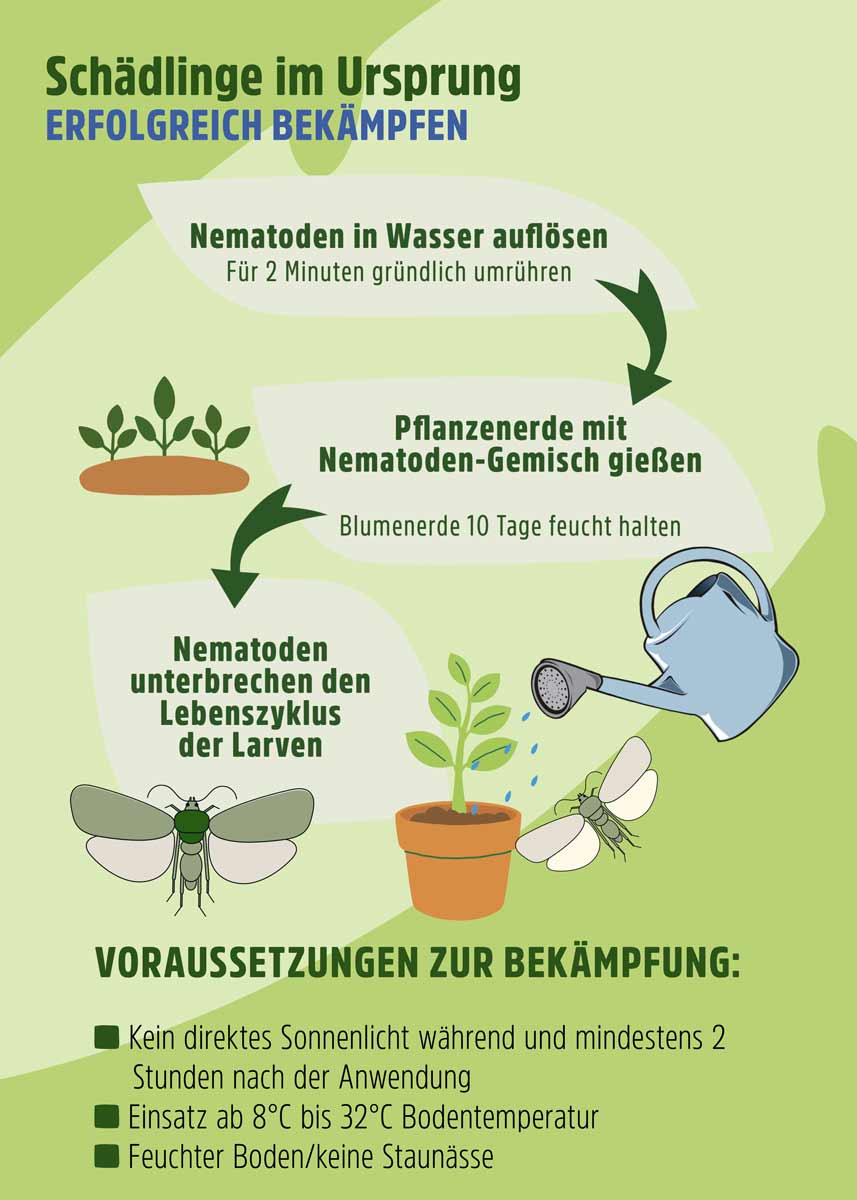 SF Nematoden gegen Apfelwickler SF Nematoden gegen Apfelwickler