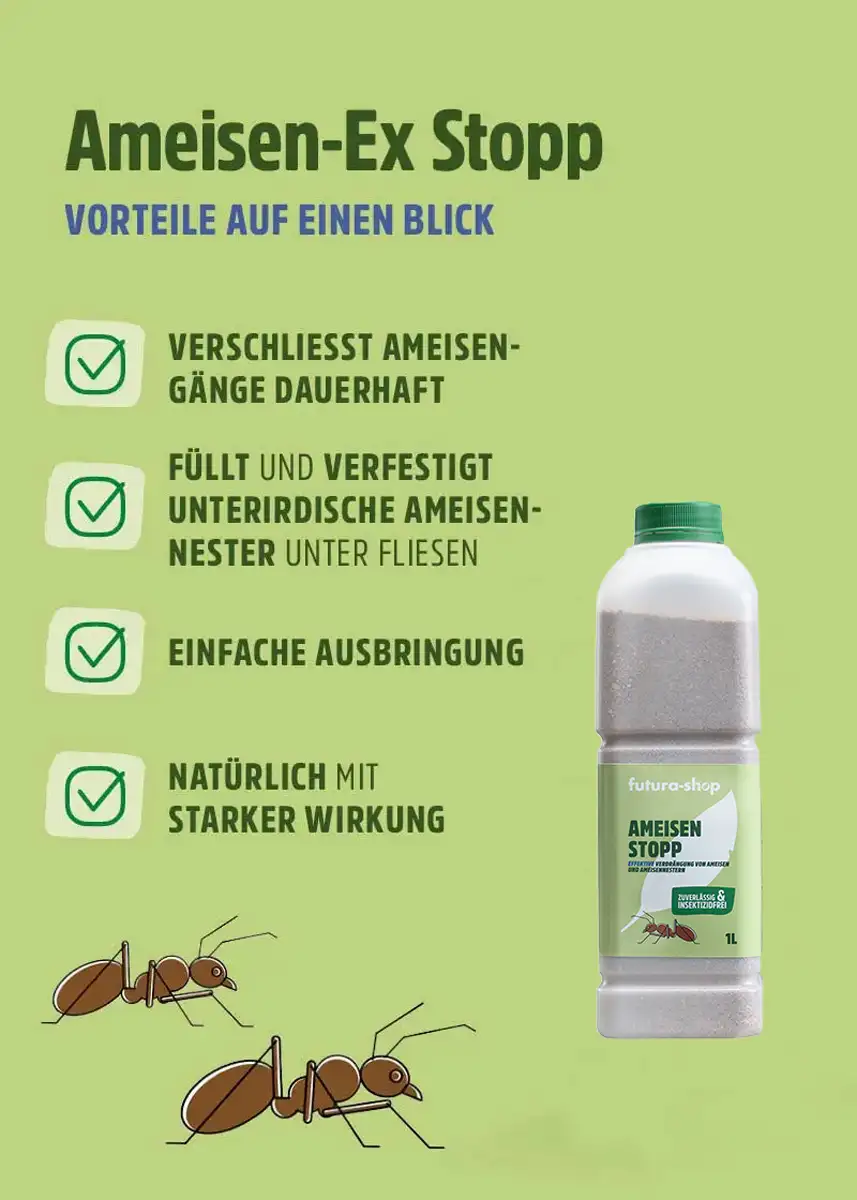 Ameisen-Ex Stopp Ameisen-Ex Stopp