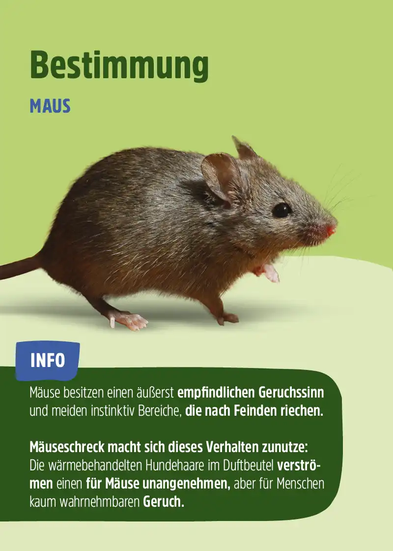 Mäuseschreck - Natürliche Mäuseabwehr ohne Chemikalien, 2er Pack Mäuseschreck - Natürliche Mäuseabwehr ohne Chemikalien, 2er Pack