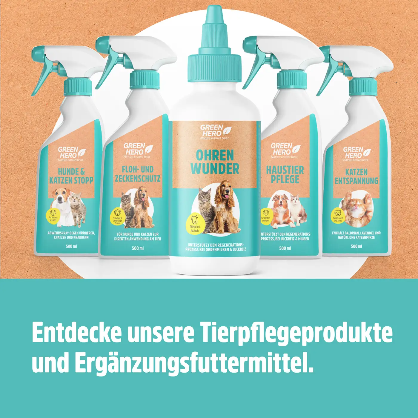 Ohrenwunder pflegt das Ohr bei Ohrenmilben