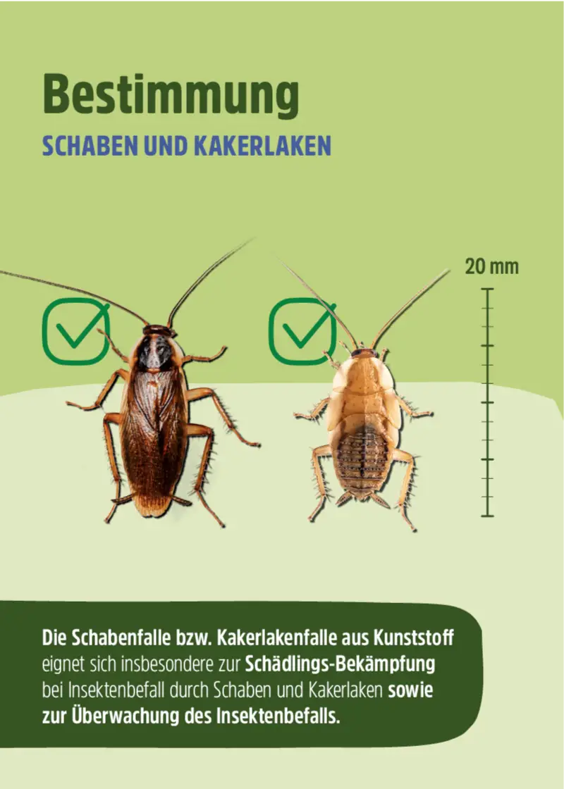 Schabenfalle | Kakerlakenfalle | Klebefalle Schaben Schabenfalle | Kakerlakenfalle | Klebefalle Schaben