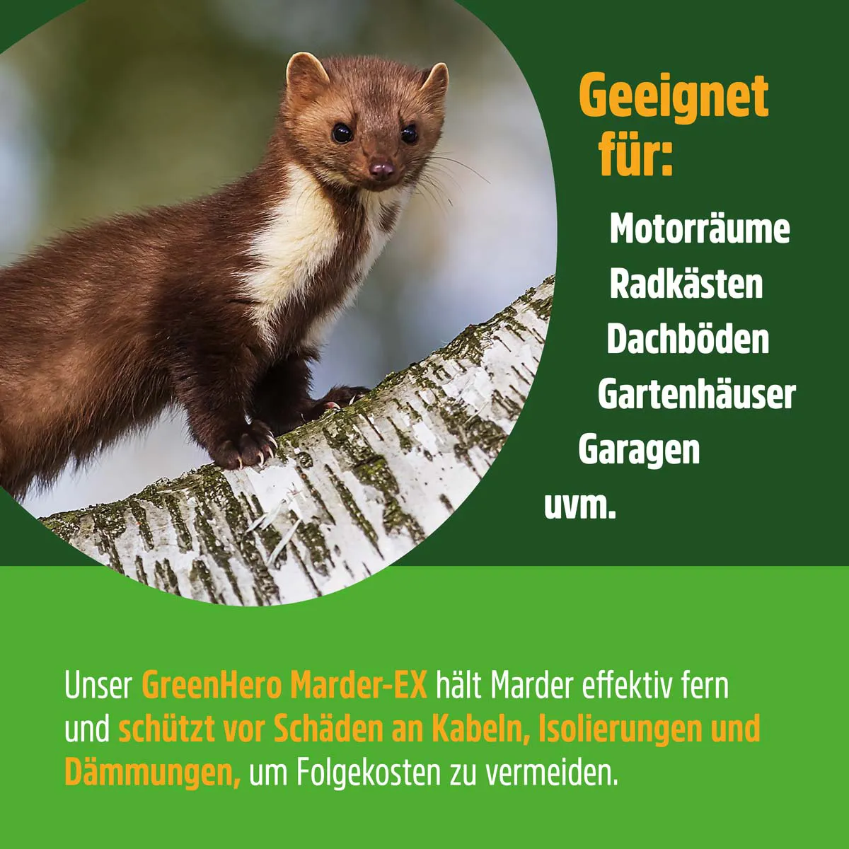 GreenHero Marder-Ex Spray gegen Marderverbiss GreenHero Marder-Ex Spray gegen Marderverbiss