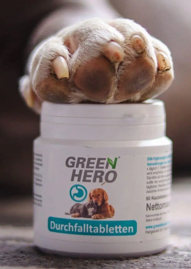 greenhero_durchfalltabletten_anwendung_02 Durchfalltabletten für Hunde und Katzen | 60 Tabletten