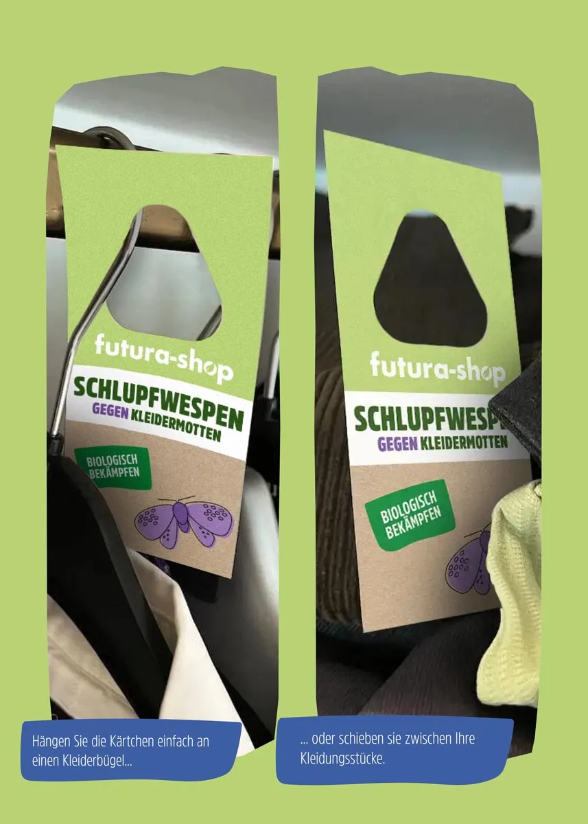 Schlupfwespen gegen Kleidermotten Schlupfwespen gegen Kleidermotten