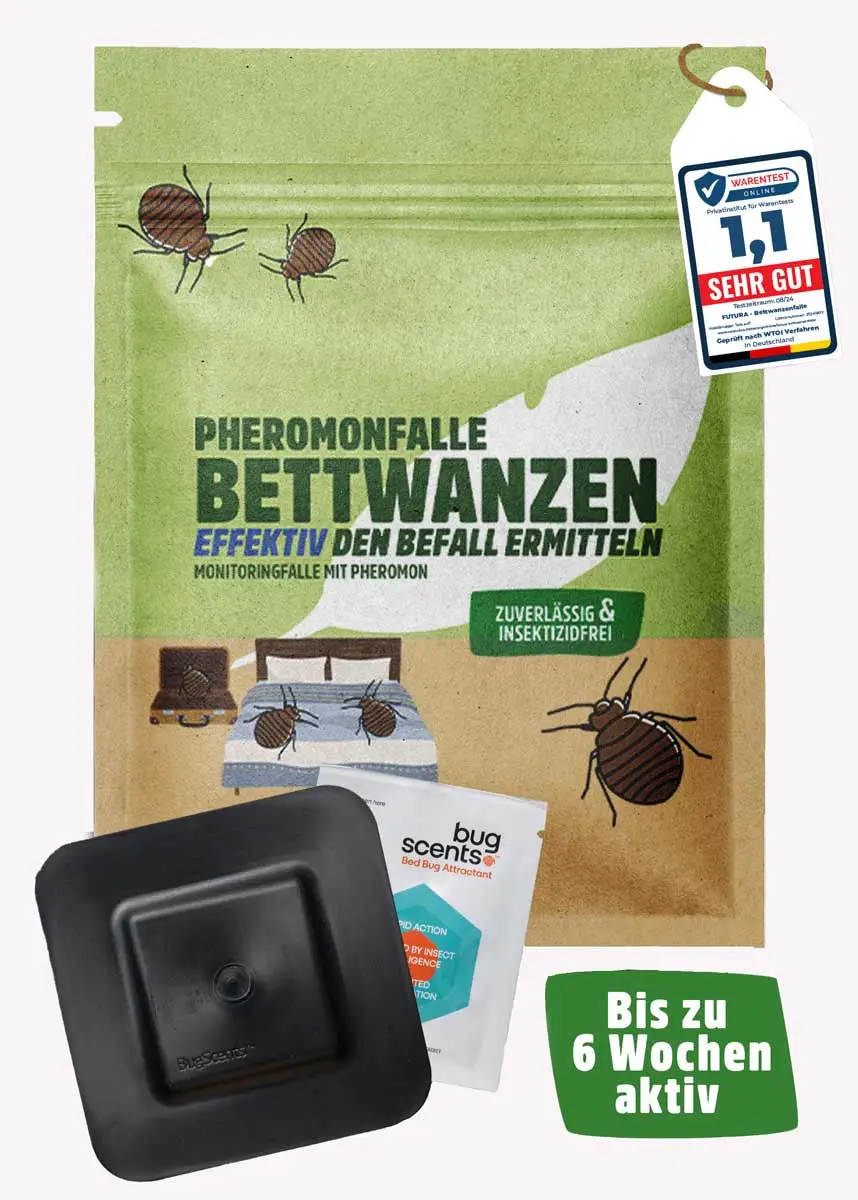 Bettwanzen Falle 