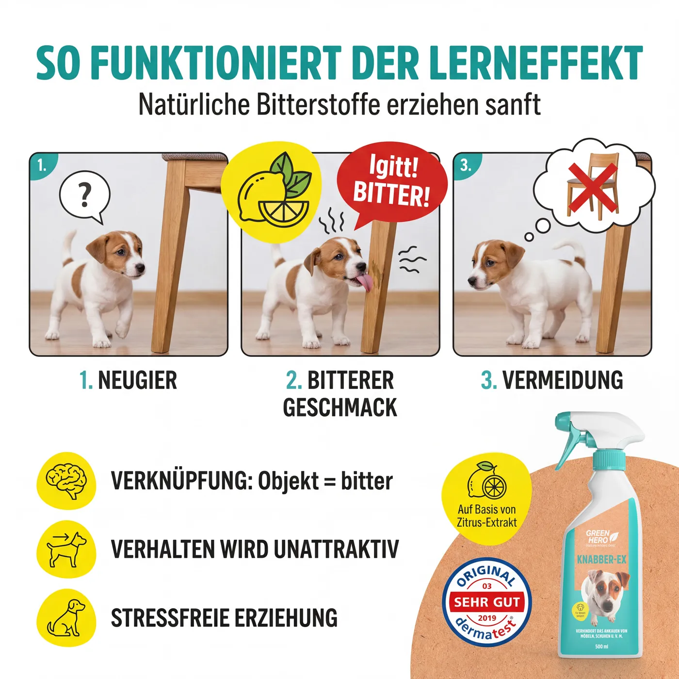 Knabber-Ex um Kauen und Knabbern abzutrainieren Knabber-Ex um Kauen und Knabbern abzutrainieren