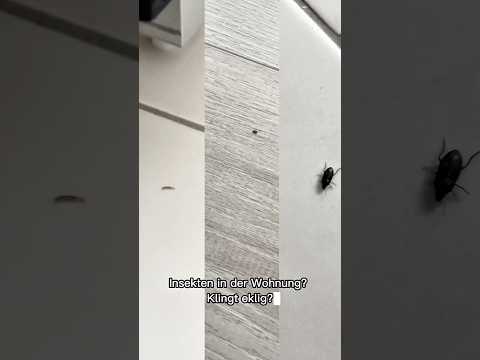 Insektenspray | Stoppt den Befall