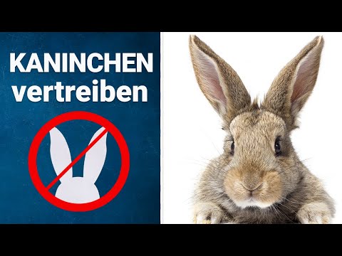 Kaninchen-Stopp 1 kg