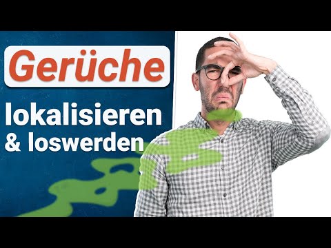 Green Hero Geruchsentferner und Fleckenentferner