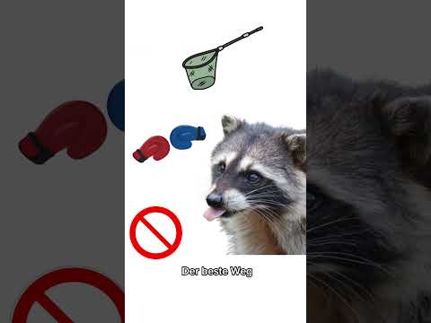 Marder- und Waschbär-Schreck