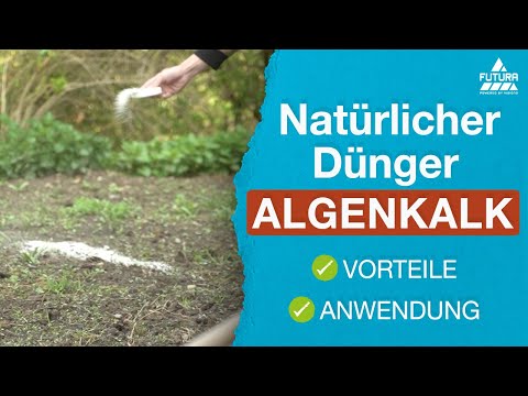 Algenkalk | natürliches Düngemittel