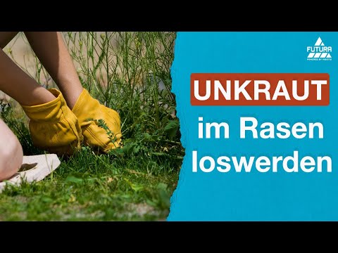 Rasen Unkrautfrei gegen Löwenzahn, Klee und weiteres Unkraut