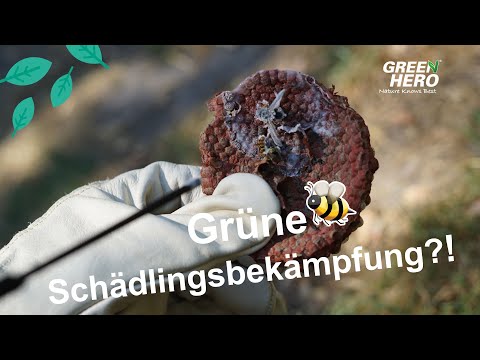 Frost-Spray | Insektenspray ohne Insektizide |  zur Bekämpfung von Insekten und Nestern