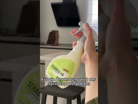 Kakerlaken Spray | Schaben Spray - Wirkungsvoller Schutz Kakerlaken Spray | Schaben Spray - Wirkungsvoller Schutz