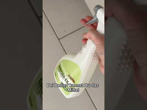 Ameisenspray | Ameisen Ex mit Langzeitwirkung